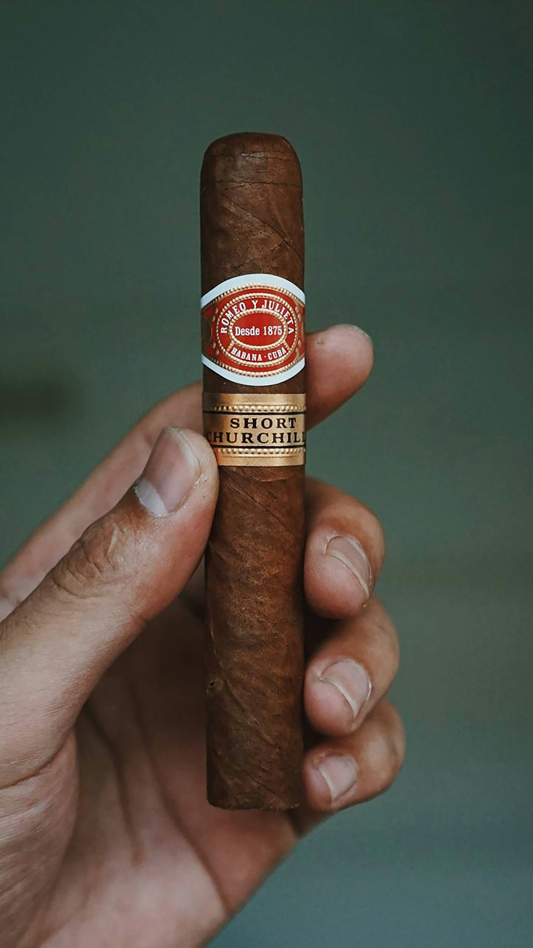 hemingway_casa-del-habano_vertical2